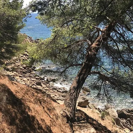 Proche De St Tropez Avec Piscine Et Grand Jardin Au Calme